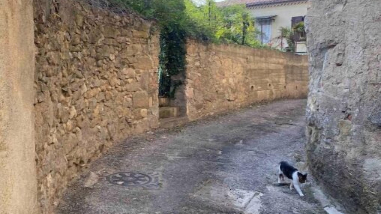 Photo of Outdoor in Saint-Hilaire