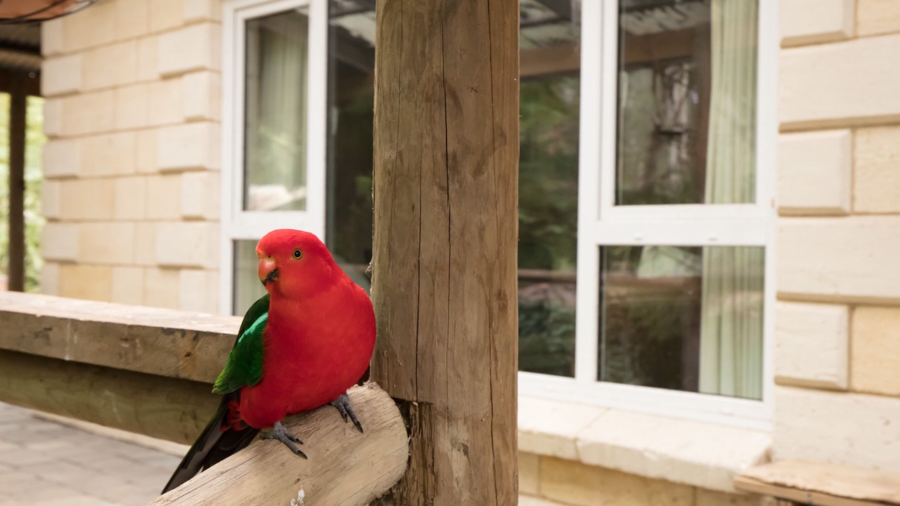 Photo of Others in Mount Dandenong