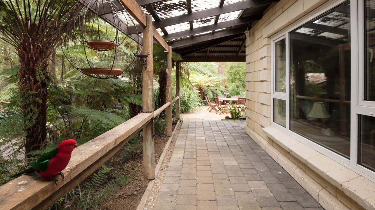 Photo of Others in Mount Dandenong