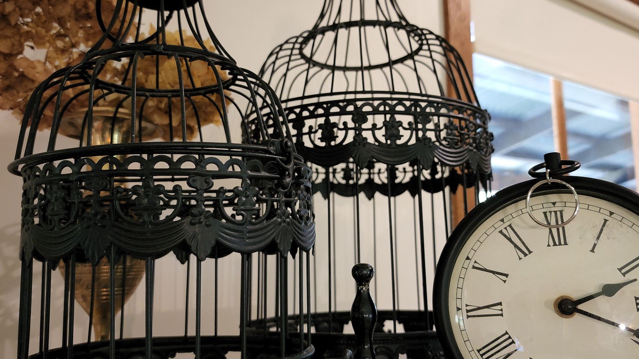 Photo of Others in Mount Dandenong