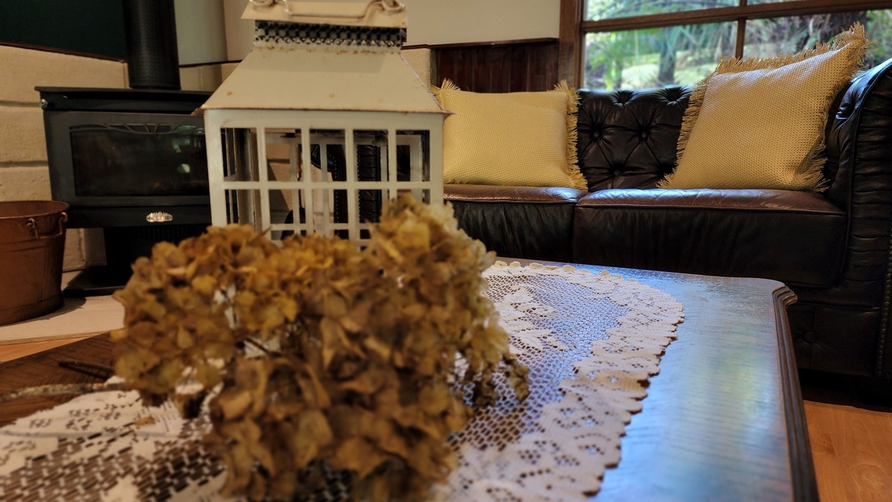 Photo of Livingroom in Mount Dandenong