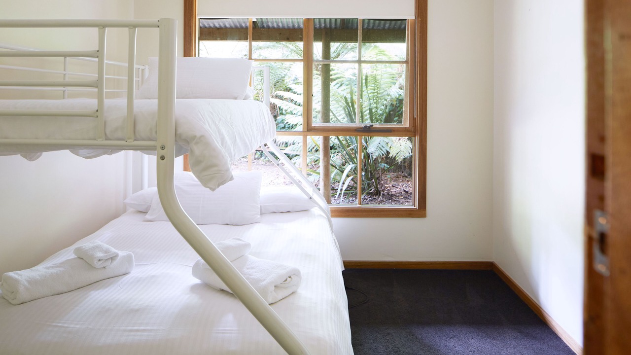 Photo of Others in Mount Dandenong