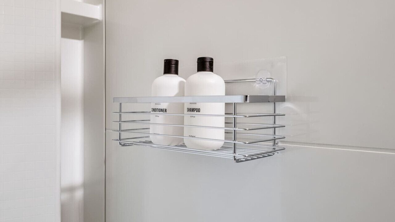 Photo of Others in Lower Queen Anne