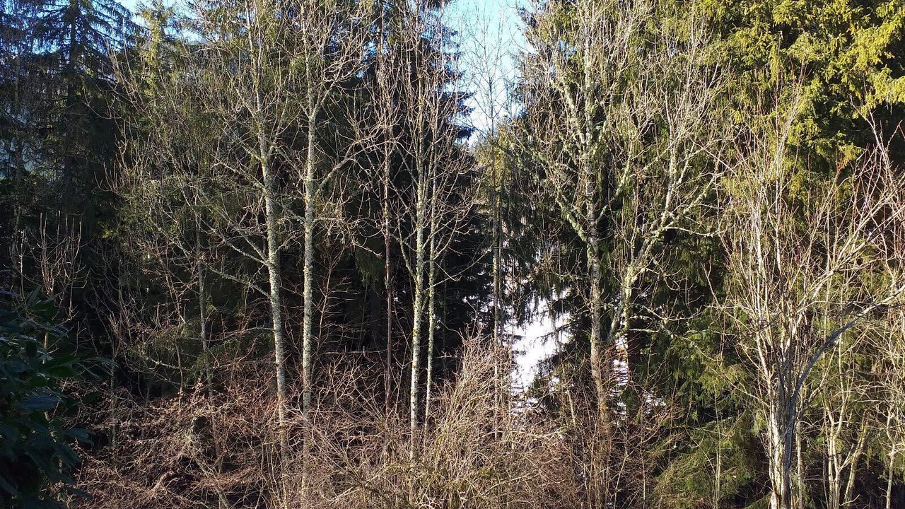 Photo of Outdoor in Saint-Pierre-de-Chartreuse