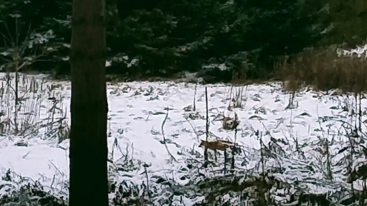 Photo of Outdoor in Kincardine