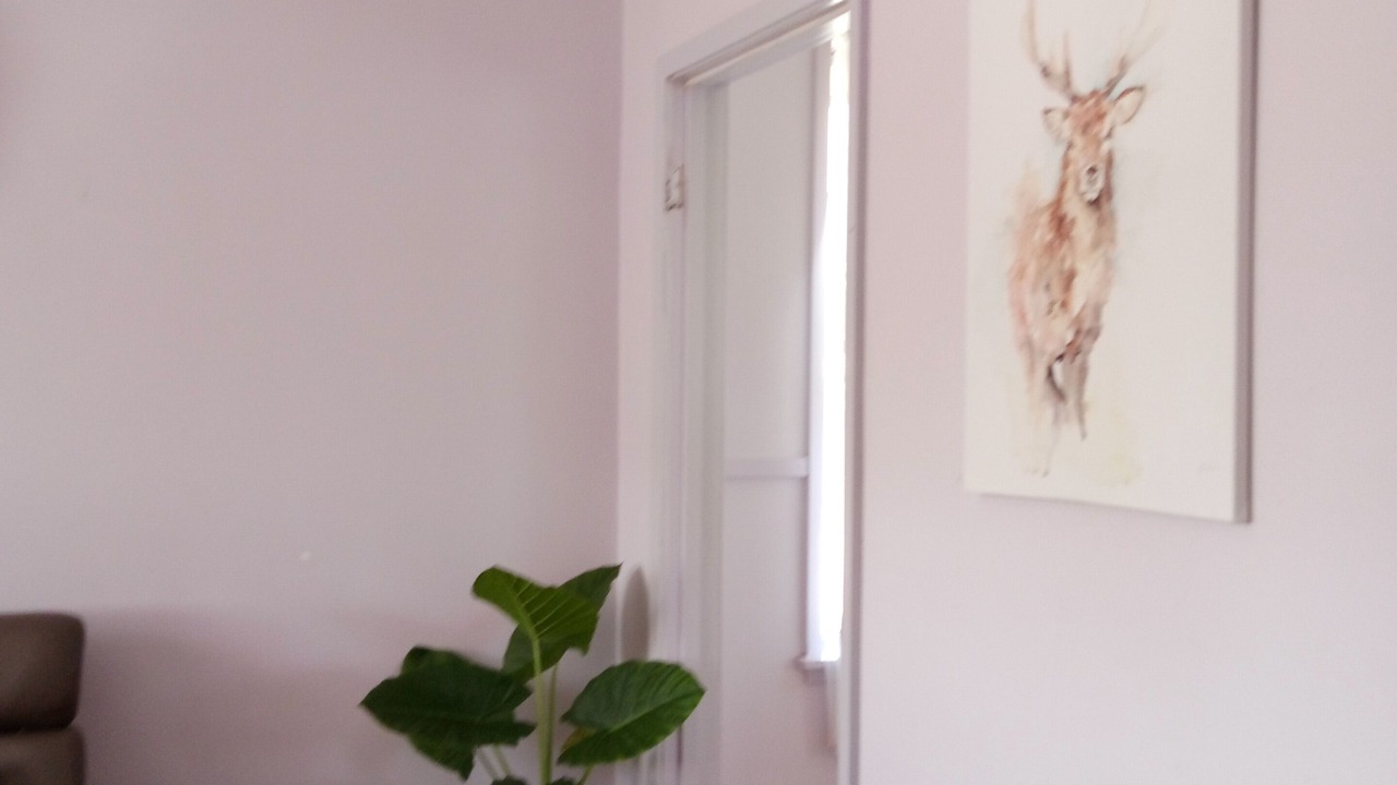 Photo of Others in Kennington