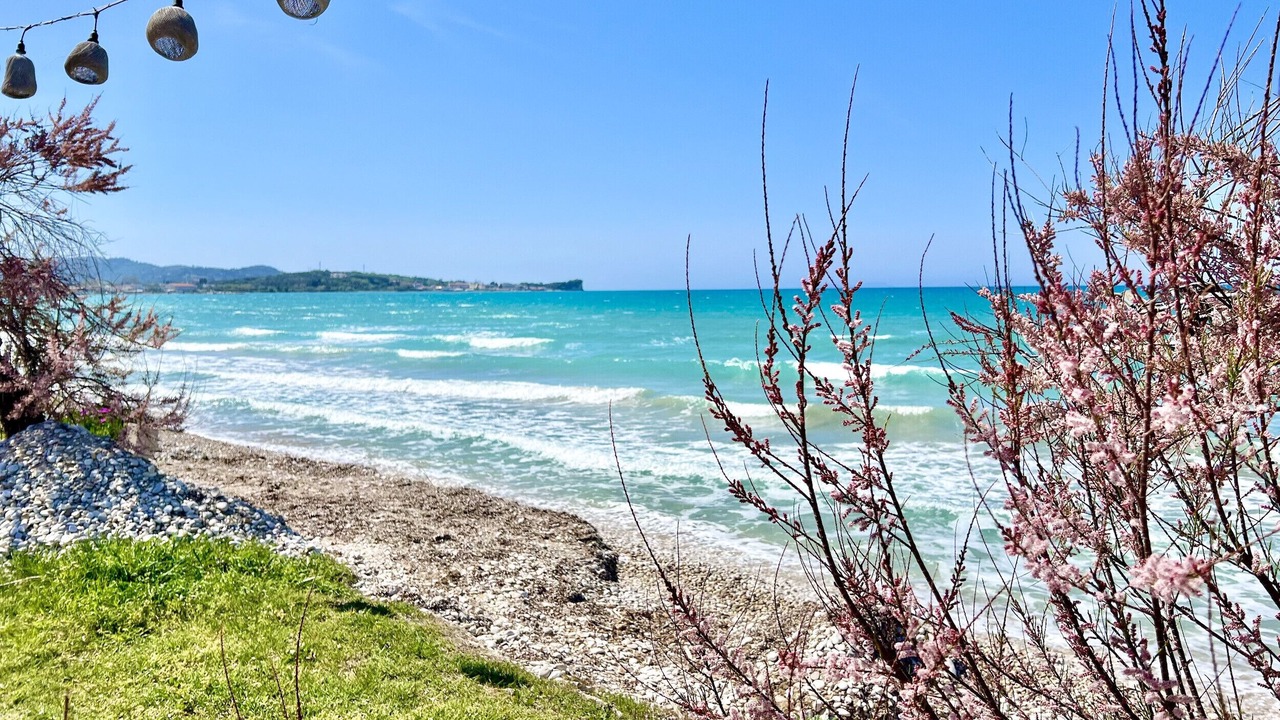 Photo of Others in Acharavi