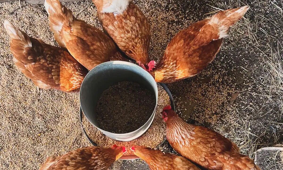 Photo of Others in Hay Flat