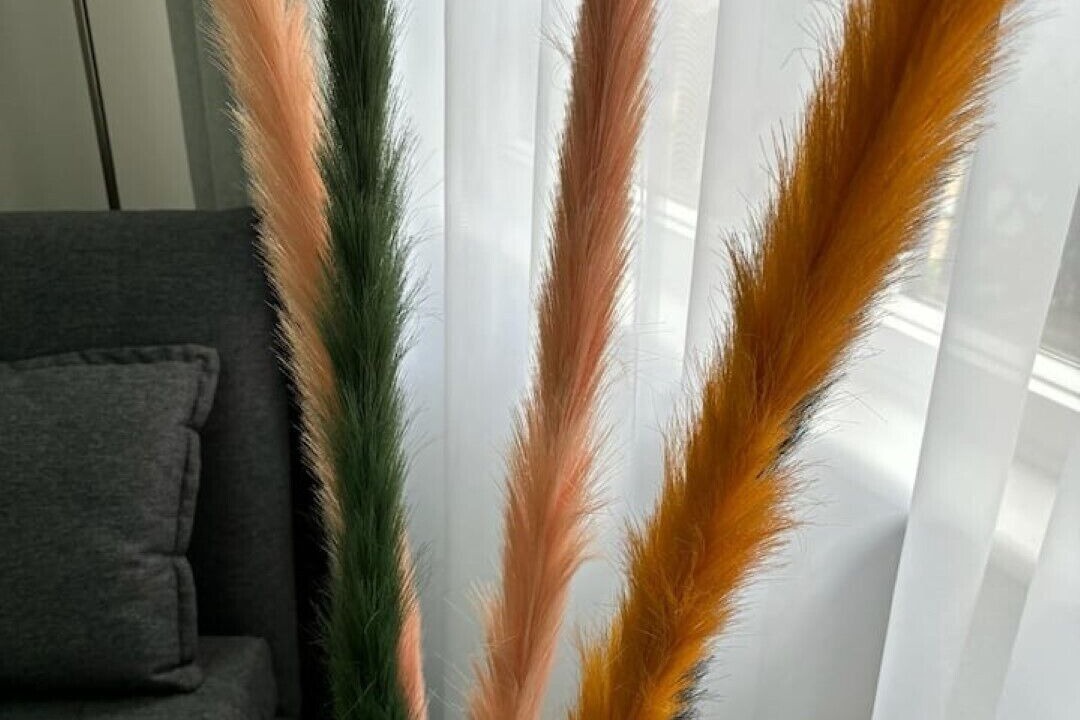 Photo of Others in Linlithgow