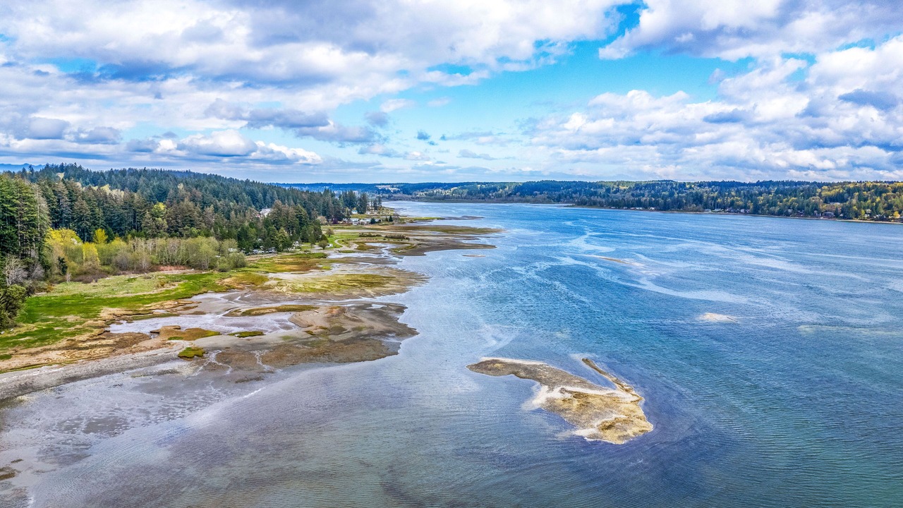 Photo of Outdoor in Belfair