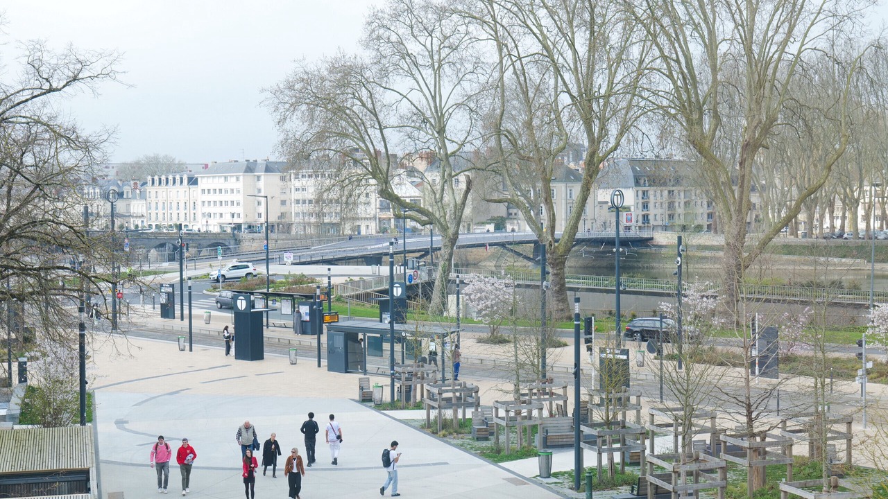 Photo of Others in Downtown Angers