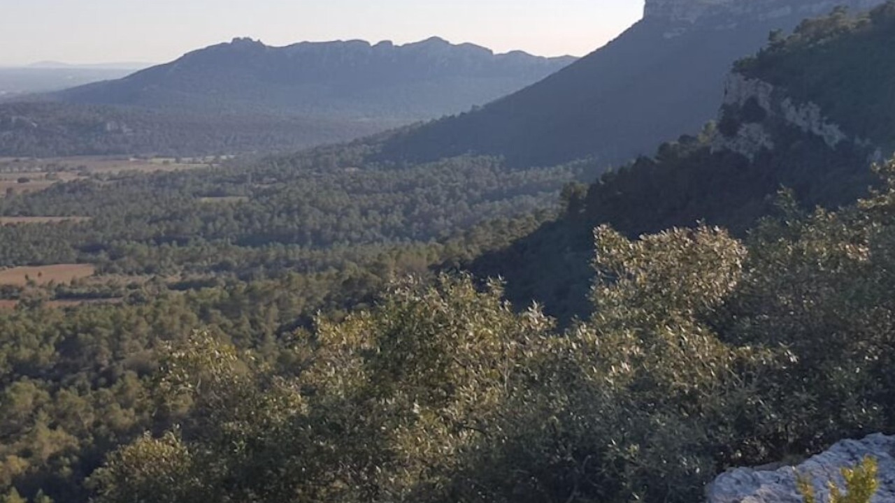 Photo of Others in Valflaunes