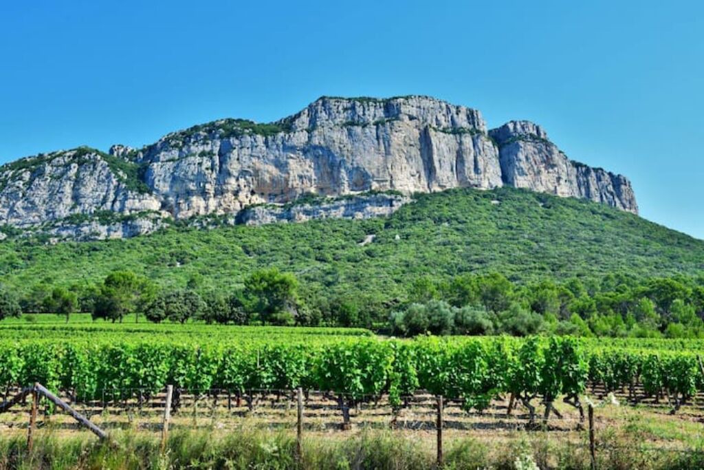 Photo of Outdoor in Valflaunes
