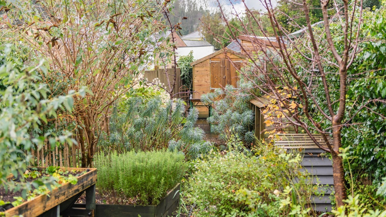 Photo of Outdoor in Martin