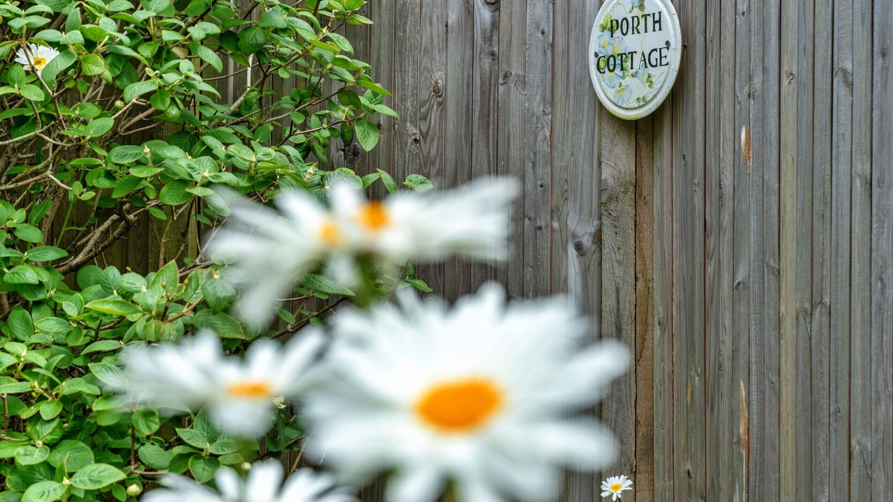 Photo of Outdoor in Porth