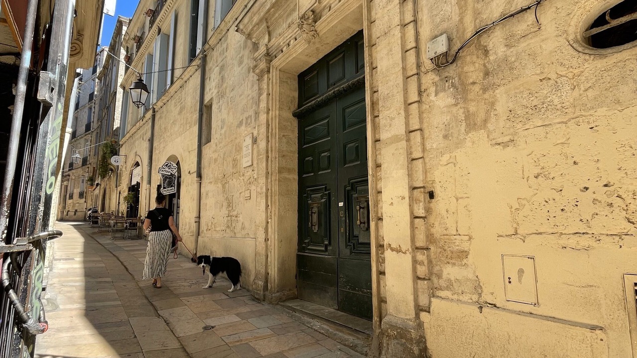 Photo of Outdoor in Comedie