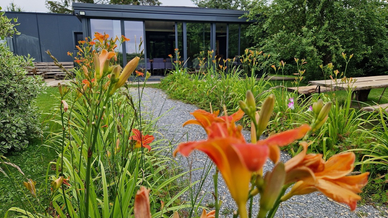 Photo of Outdoor in Belval-sous-Chatillon