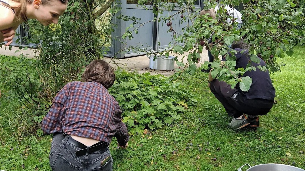 Photo of Outdoor in Belval-sous-Chatillon