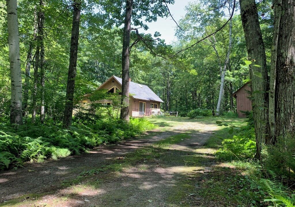 Photo of Outdoor in Alstead