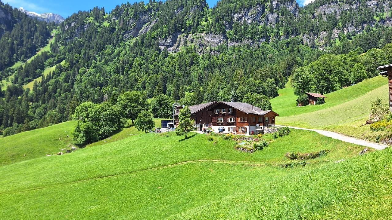 Photo of Others in Braunwald