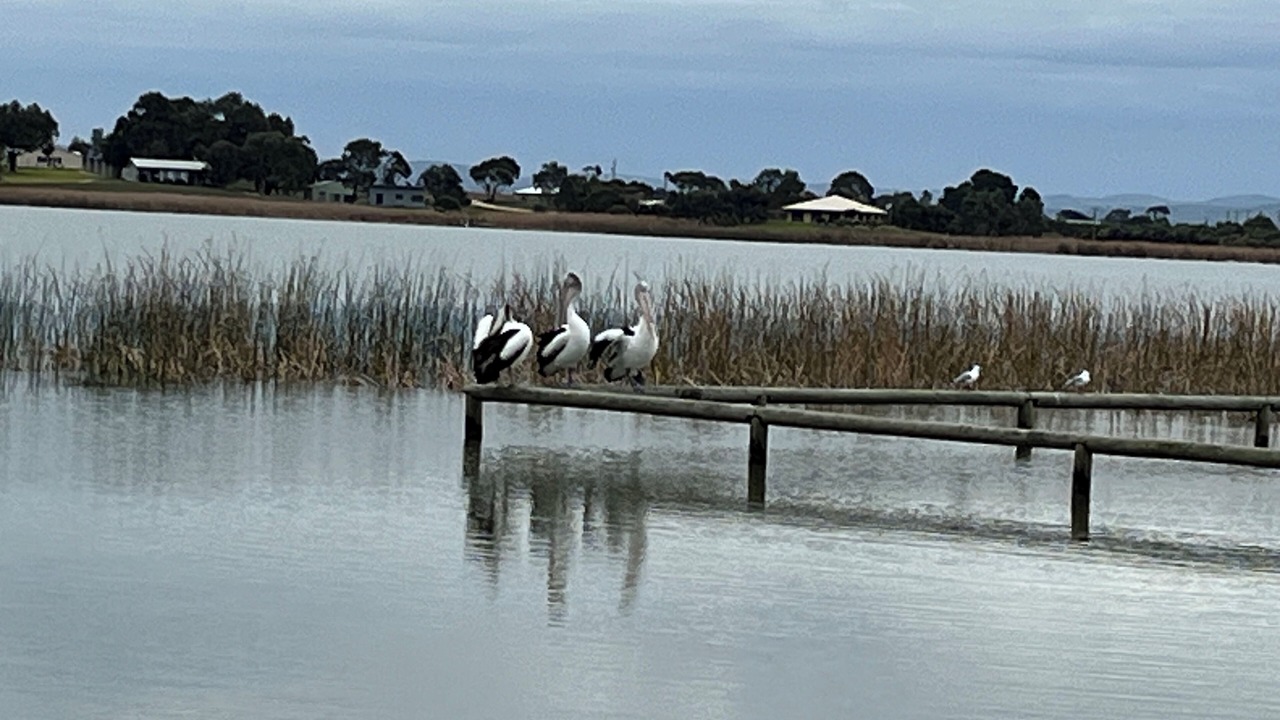 Photo of Others in Alexandrina