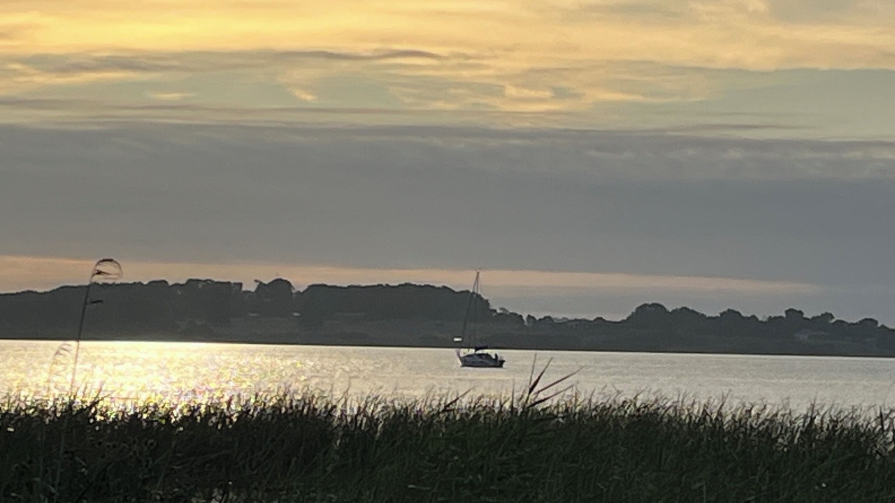 Photo of Others in Alexandrina