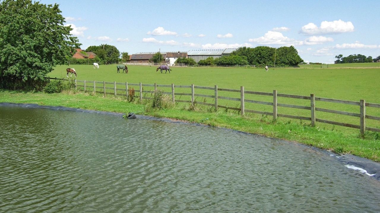 Photo of Others in Polesworth