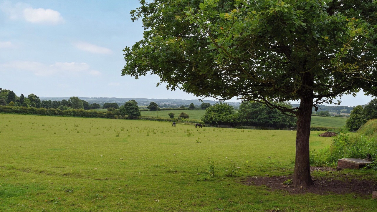 Photo of Others in Polesworth