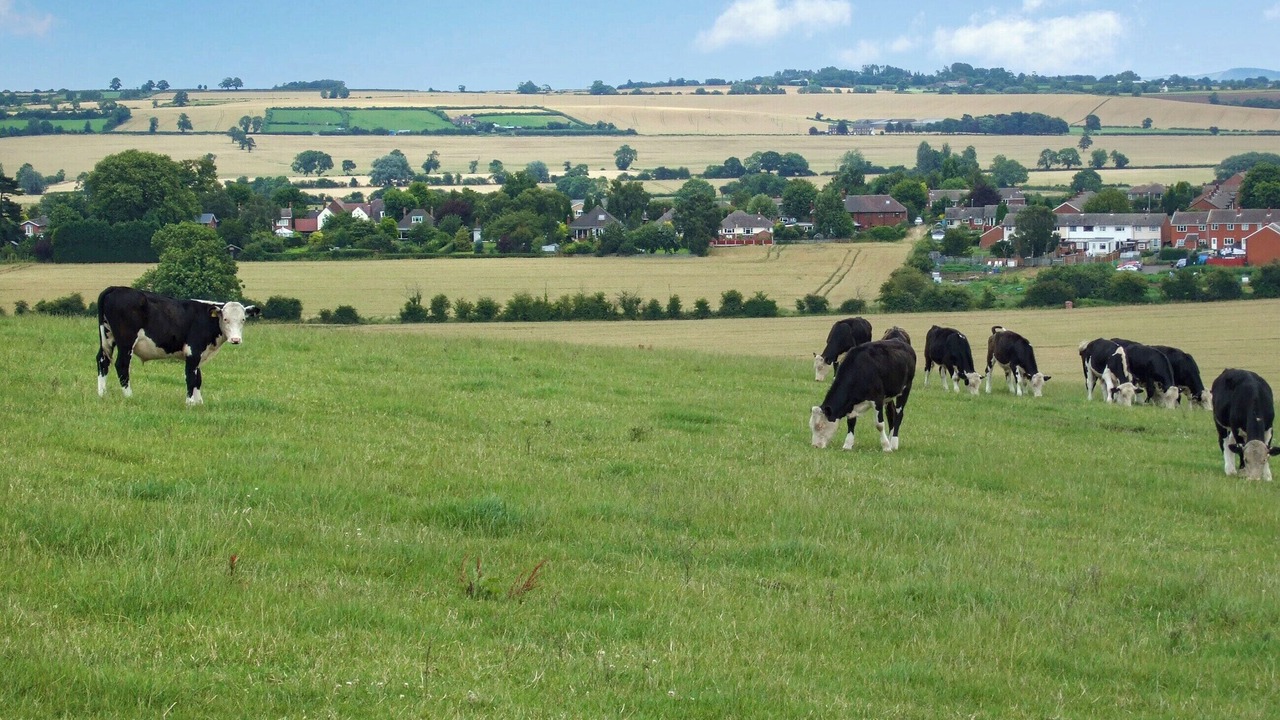 Photo of Others in Polesworth