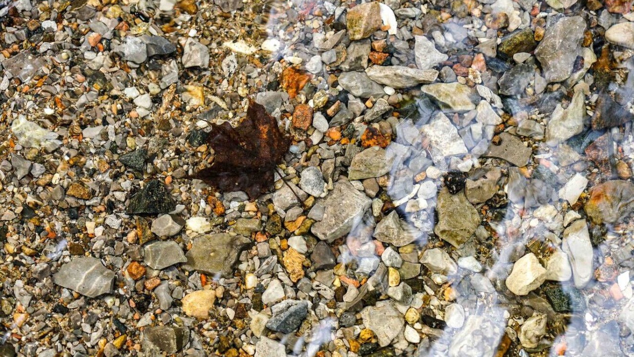 Photo of Others in Greater Madawaska