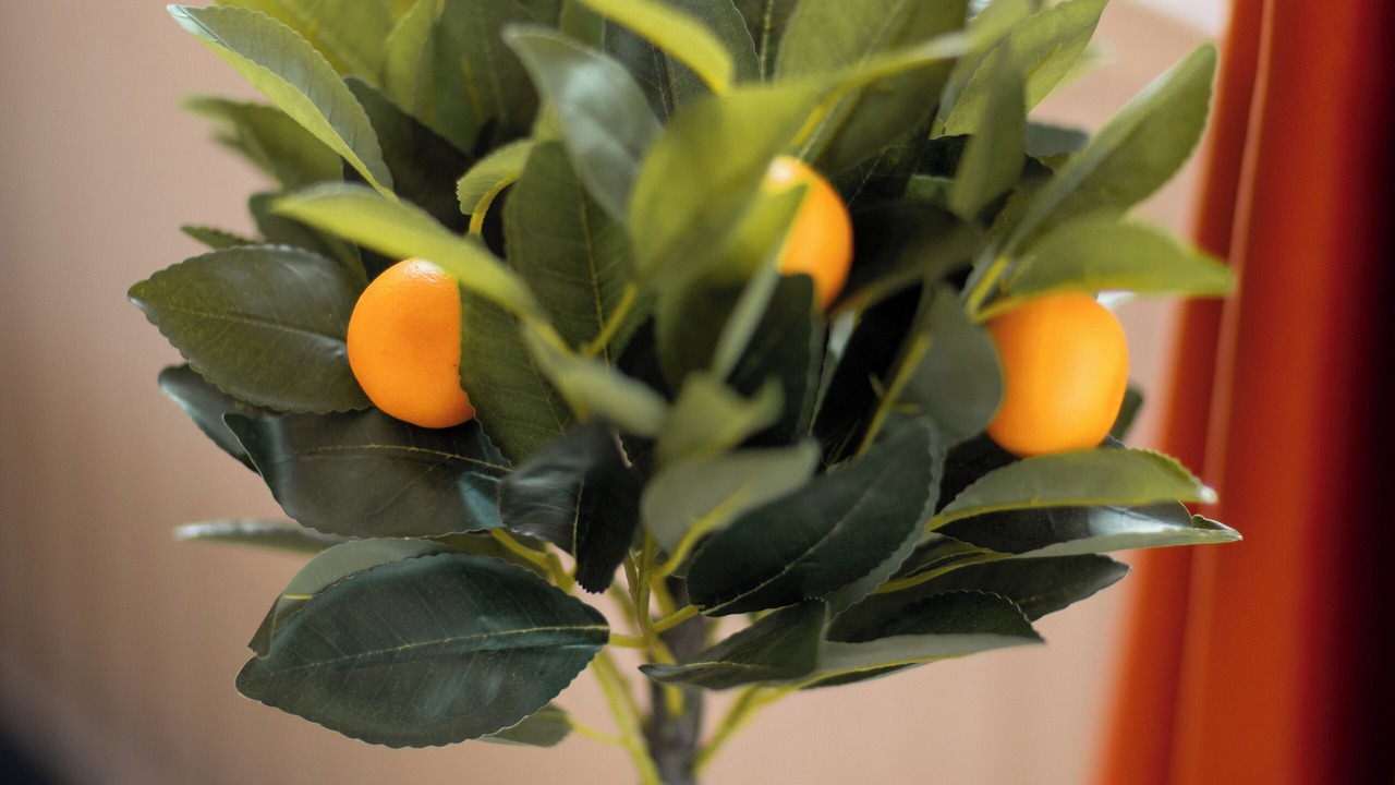 Photo of Others in Cathedrals