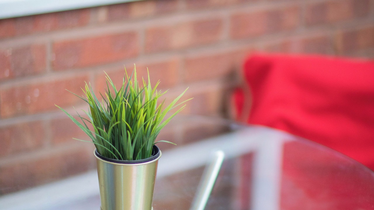 Photo of Others in Cathedrals