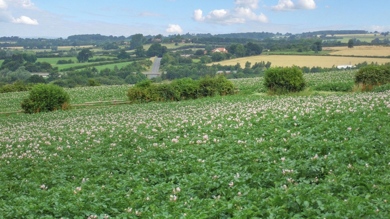 Photo of Others in Polesworth