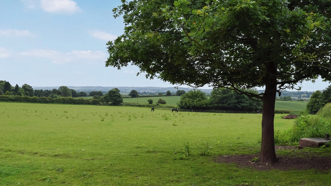 Photo of Others in Polesworth