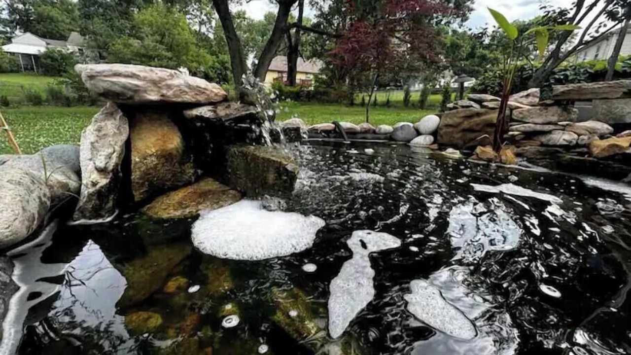 Photo of Outdoor in Gladstone
