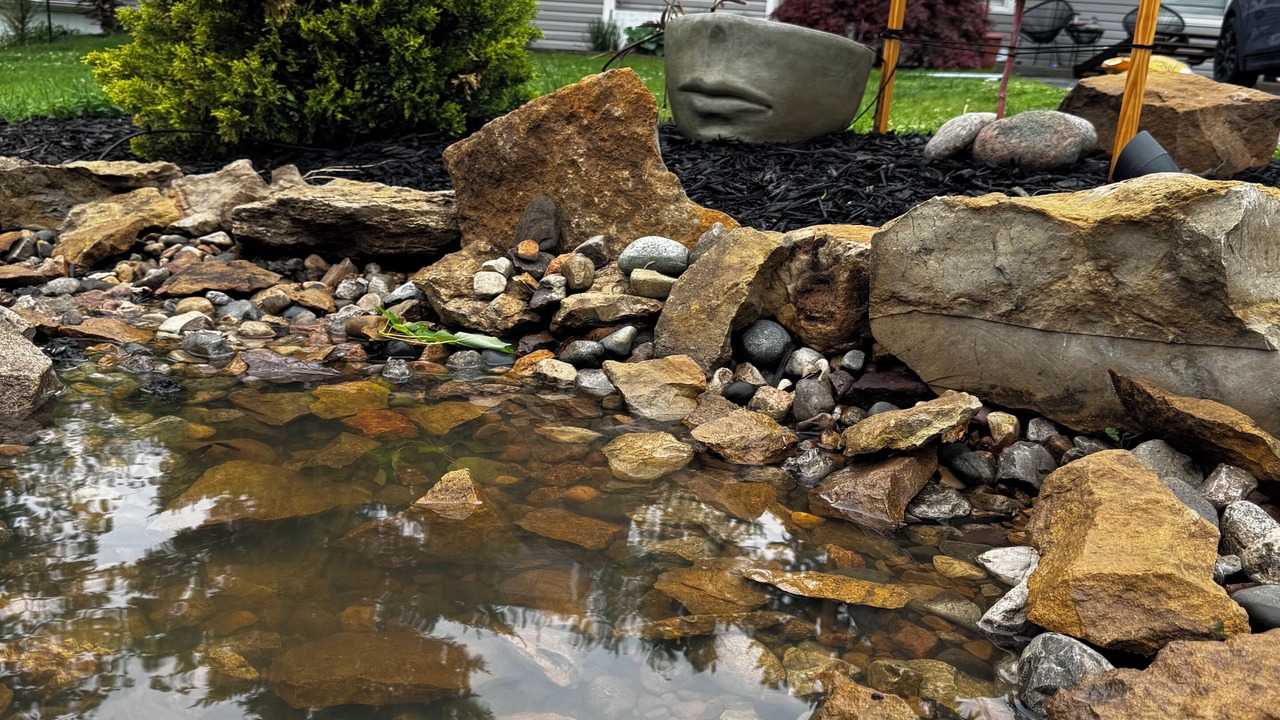 Photo of Outdoor in Gladstone