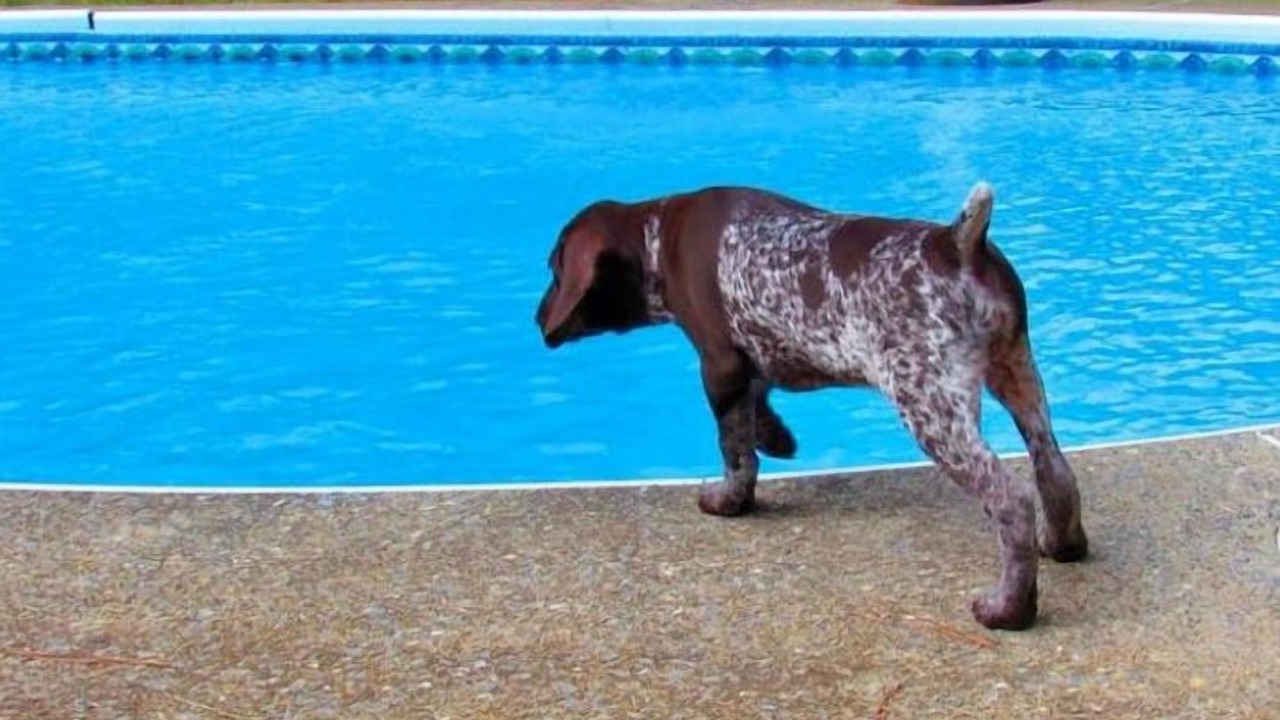 Photo of Outdoor in Marietta