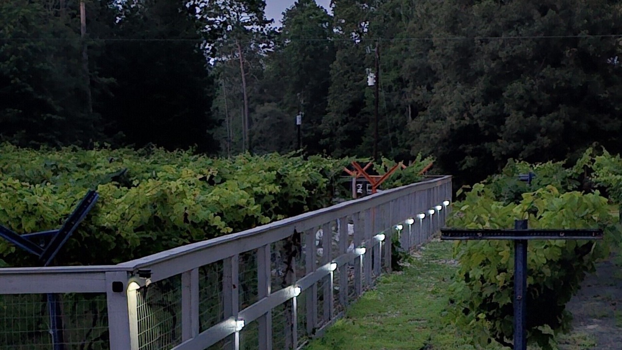 Photo of Others in Hillister