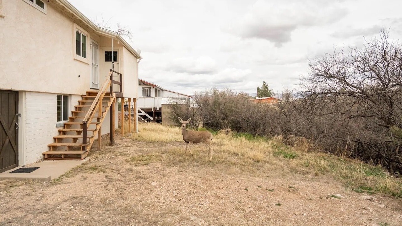 Photo of Outdoor in Tombstone
