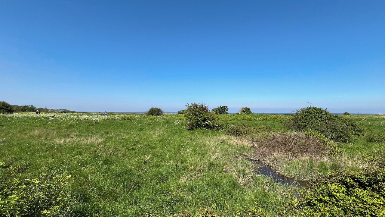 Photo of Others in Swalecliffe