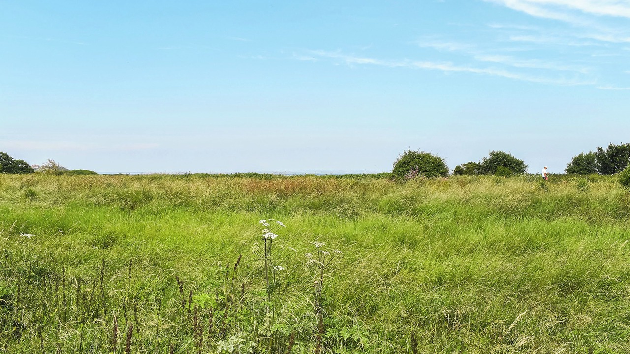 Photo of Others in Swalecliffe