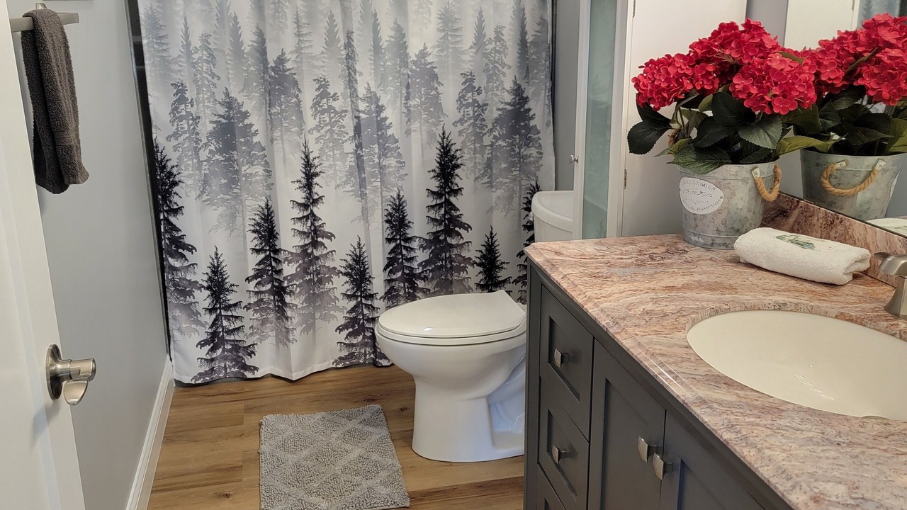 Photo of Bathroom in Rocky Mount