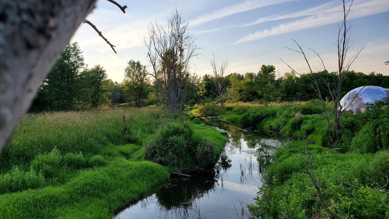 Photo of Others in South Butler