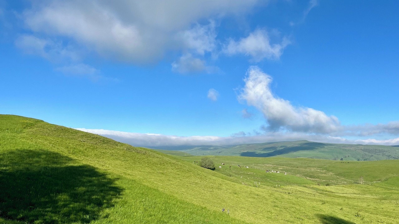 Photo of Others in Jassat