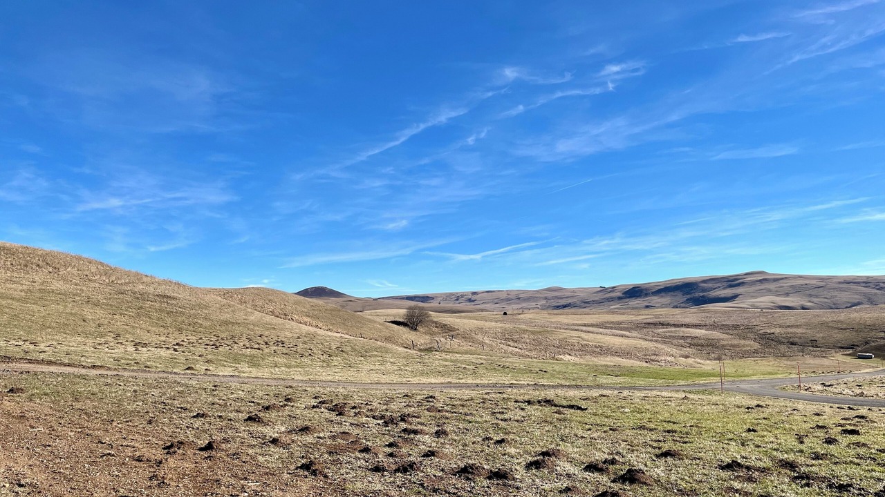 Photo of Others in Jassat