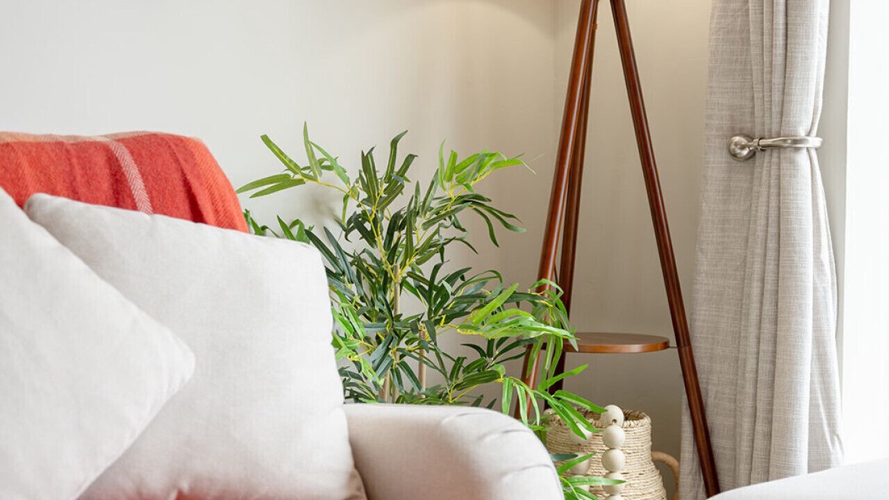 Photo of Others in Ainley Top