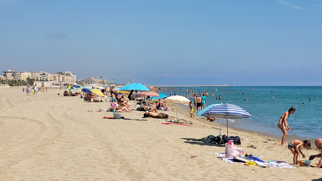 Photo of Others in Les Hauts de Canet