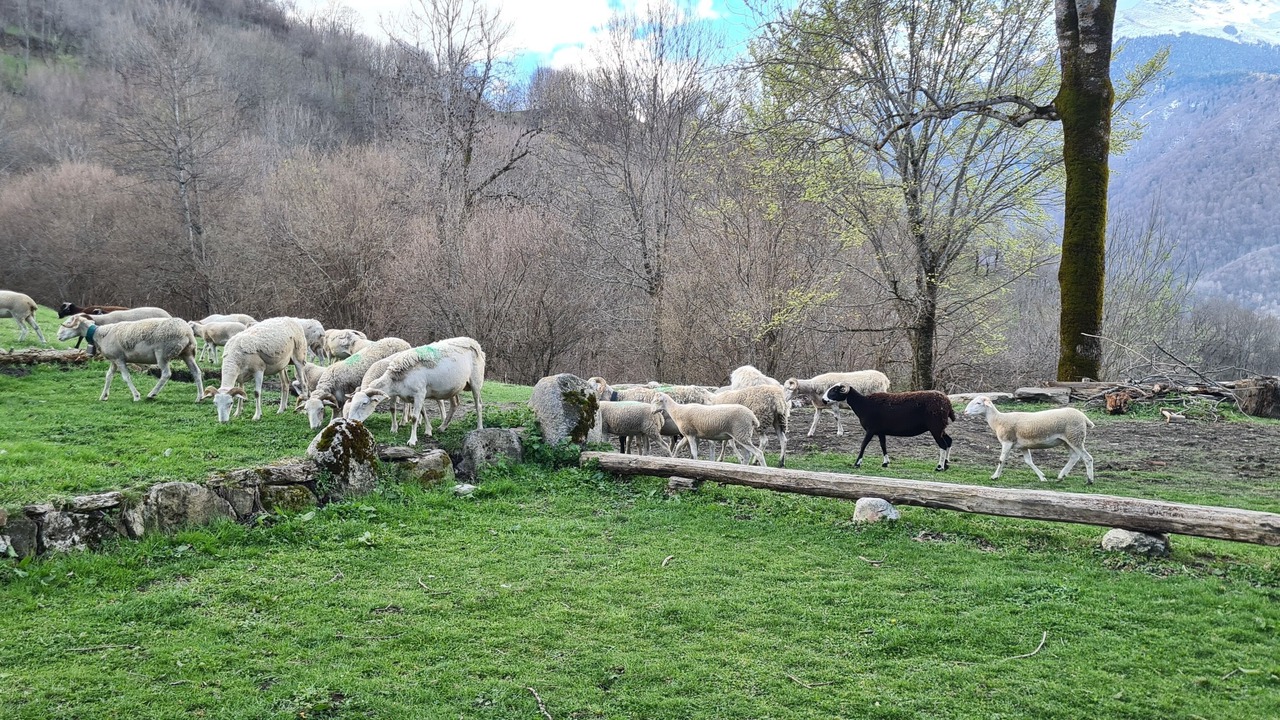 Photo of Outdoor in Loudervielle