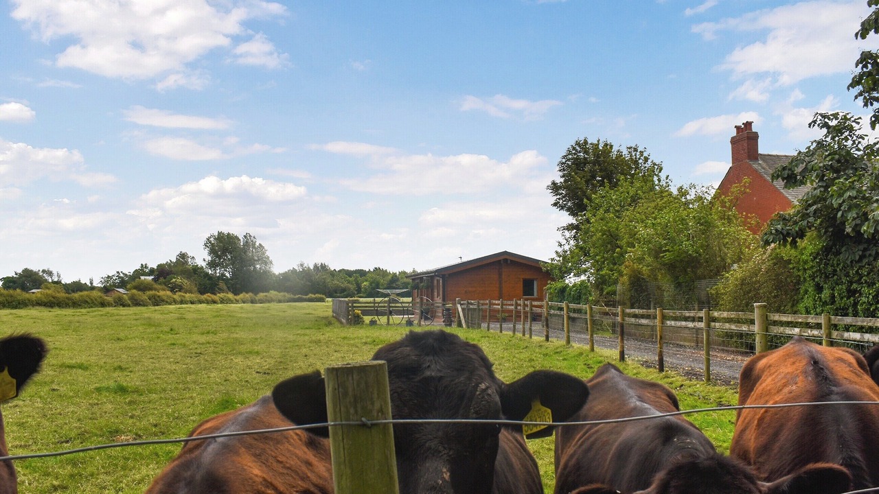 Photo of Others in Pilling