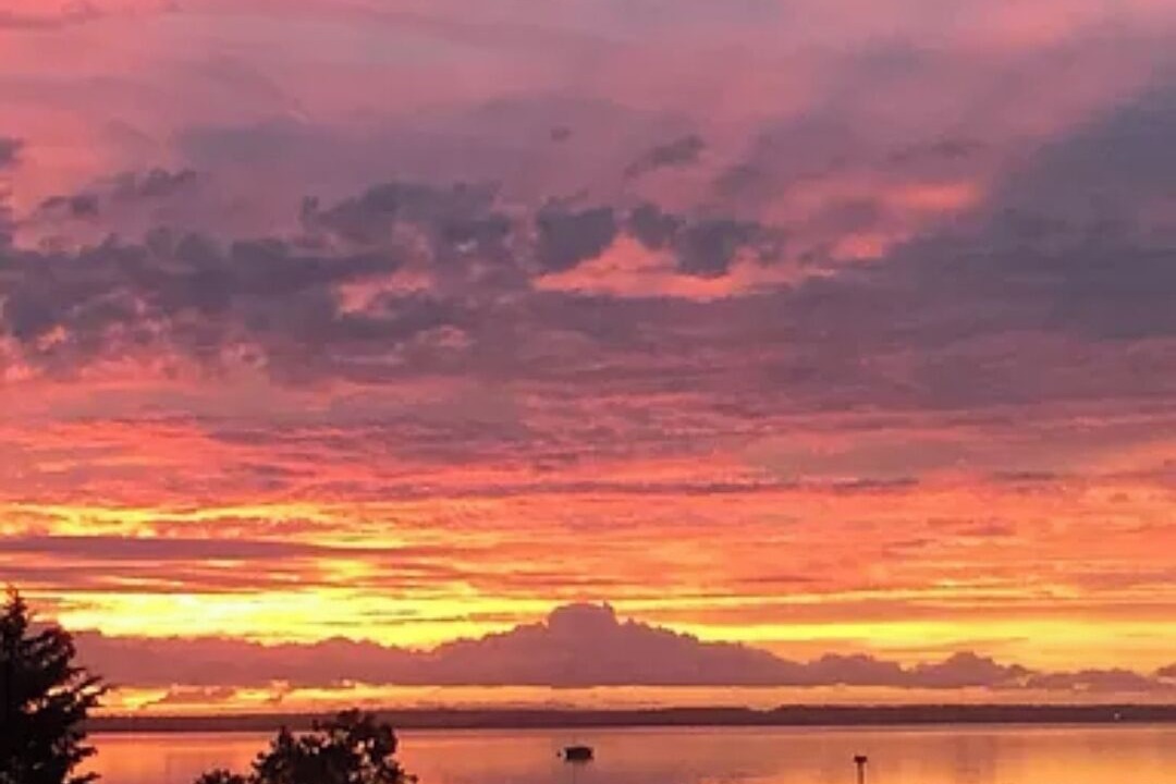 Photo of Others in Morehead City